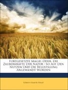 Johann Samuel Halle - Fortgesetzte Magie: Oder, Die Zauberkrf
