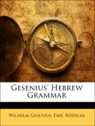 Wilhelm Gesenius, Emil Rödiger - Gesenius' Hebrew Grammar