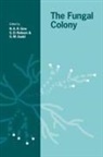 N. A. R. Gow, N. A. R. (University of Aberdeen) Robson Gow, N. A. R. Robson Gow, N.a.r. Robson Gow, G. M. Gadd, Geoffrey Michael Gadd... - Fungal Colony