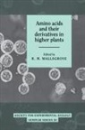 R. M. Wallsgrove, R. M. (Institute of Arable Crops Resea Wallsgrove, R.m. Wallsgrove, R. M. Wallsgrove - Amino Acids and Their Derivatives in Higher Plants
