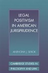 Anthony J. Sebok, Anthony J. (Brooklyn College Sebok - Legal Positivism in American Jurisprudence