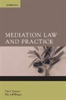 Michael Brogan, David Spencer, David Brogan Spencer - Mediation Law and Practice