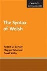 Robert D. Borsley, Robert D. Tallerman Borsley, Borsley Robert D., Maggie Tallerman, Tallerman Maggie, David Willis - Syntax of Welsh