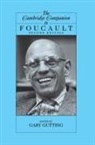 Gary Gutting, Gary (University of Notre Dame Gutting, Gary Gutting - Cambridge Companion to Foucault