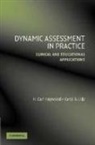 H. Carl Haywood, H. Carl (Vanderbilt University Haywood, H. Carl Lidz Haywood, H.carl Lidz Haywood, Carol S. Lidz - Dynamic Assessment in Practice