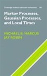 Michael B. Marcus, Michael B. (City University of New York) R Marcus, Michael B. Rosen Marcus, Jay Rosen - Markov Processes, Gaussian Processes, and Local Times