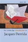 Leslie Hill, Leslie (University of Warwick) Hill - Cambridge Introduction to Jacques Derrida