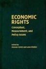 Shareen Hertel, Shareen (Associate Professor Hertel, Shareen Minkler Hertel, Lanse Minkler, Lanse (University of Connecticut) Minkler, Shareen Hertel... - Economic Rights