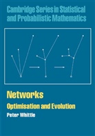 Peter Whittle - Networks