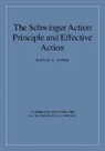 David J. Toms, David J. (University of Newcastle Upon Tyne) Toms - Schwinger Action Principle and Effective Action