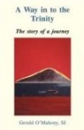Gerald S.j. mahany, O&amp;apos, Gerald S.j. O'mahany, Gerald O'Mahony Sj - Way in to the Trinity