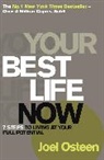 Joel Osteen, Osteen Joel, Author - Your Best Life Now
