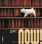 Paul Walker - Pet Photography Now!