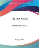 George Calder - Irish Aeneid