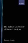 Garrison Sposito - Surface Chemistry of Natural Particles