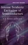 S G Ganichev, S. G. Ganichev, Sergey Ganichev, Sergey D. Prettl Ganichev, Sergey Prettl Ganichev, W. Prettl... - Intense Terahertz Excitation of Semiconductors