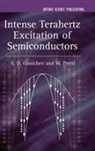 S G Ganichev, S. G. Ganichev, Sergey Ganichev, Sergey D. Prettl Ganichev, Sergey Prettl Ganichev, W. Prettl... - Intense Terahertz Excitation of Semiconductors