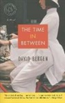 David Bergen - The Time in Between