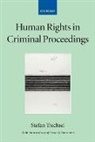 Sarah Summers, Sarah J. Summers, Summers Sarah, Trechsel, Stefan Trechsel, Stefan (Professor of Criminal Law and Procedure at the University of Zurich Trechsel... - Human Rights in Criminal Proceedings