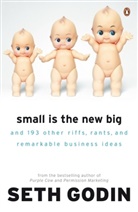 Seth Godin - Small is the New Big