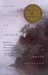 David Guterson - Snow falling on cedars