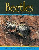 Claire Llewellyn - Beetles