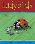 Claire Llewellyn - Ladybirds