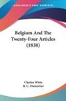 Charles White - Belgium and the Twenty-Four Articles (18