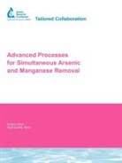 B. Black, D. Chang, Y. Chang, Yu Jung Chang, Bryan D. Black, Yu Jung Chang - Advanced Processes for Simultaneous Arse