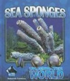 Deborah Coldiron - Sea Sponges