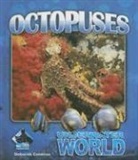 Deborah Coldiron - Octopuses