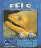 Deborah Coldiron - Eels