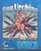 Deborah Coldiron - Sea Urchins