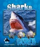 Deborah Coldiron - Sharks