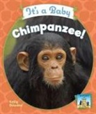 Kelly Doudna - It's a Baby Chimpanzee!