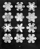 W. A. Bentley, W.A. Bentley - Bentley's Snowflakes