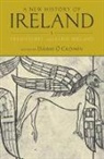 Daibhi (EDT)/ Moody Croinin, O&amp;apos, Daibhi O. Croinin, Daibhi (EDT)/ Moody O'Croinin, Dr Daibhi O Croinin, Dáibhí Ó Cróinín... - A New History Of Ireland