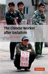 William Hurst, William (Assistant Professor Hurst, Hurst William - Chinese Worker After Socialism