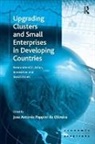 Assoc Prof Jose Antonio Puppim De Oliveira, Jose Antonio Puppim De Oliveira, Jose Antonio Puppim De Oliveira - Upgrading Clusters and Small Enterprises in Developing Countries