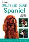Nick Mays, Mays Nick - Cavalier King Charles Spaniel