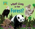Oona Gaarder-Juntti - What Lives in the Forest?