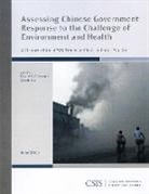 Charles Freeman, Charles W Freeman, Charles W. Freeman, Xiaoqing Lu - Assessing Chinese Government Response to the Challenge of