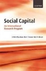 Nan Lin, Nan (EDT)/ Erickson Lin, Bonnie Erickson, Bonnie H. Erickson, Nan Lin - Social Capital