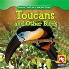 Julie Guidone - Toucans and Other Birds