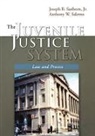 Anthony W. Salerno, Anthony W. (Rowan University (Emeritus)) Salerno, Salerno Anthony W., Joseph B. Sanborn, Joseph B. (University of Central Florida) Sanborn, Sanborn Joseph B. - The Juvenile Justice System