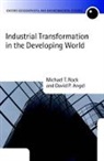 David P Angel, David P. Angel, Michael T Rock, Michael T. Rock, Michael T./ Angel Rock - Industrial Transformation in the Developing World