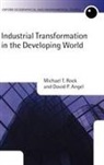 David P Angel, David P. Angel, Angel David P., Michael T Rock, Michael T. Rock, Michael T./ Angel Rock... - Industrial Transformation in the Developing World
