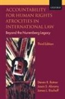 Jason Abrams, Jason S. Abrams, Jason S. (Consultant to the United Nations) Abrams, Abrams Jason S., James Bischoff, James L. Bischoff... - Accountability for Human Rights Atrocities in International Law