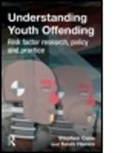 Stephen Case, Stephen (University of Wales Case, Case Stephen, Kevin Haines, Kevin (Lecturer Haines, Kevin (University of Wales Haines - Understanding Youth Offending