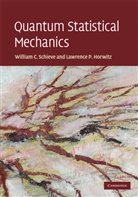Lawrence P Horwitz, Lawrence P. Horwitz, Lawrence P. (Tel-Aviv University) Horwitz, William C Schieve, William C Horwitz Schieve, William C. Schieve... - Quantum Statistical Mechanics